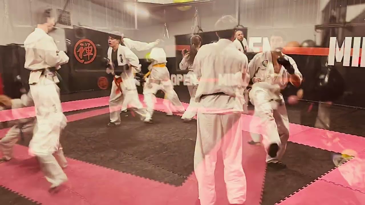 ZENDOKAI training 