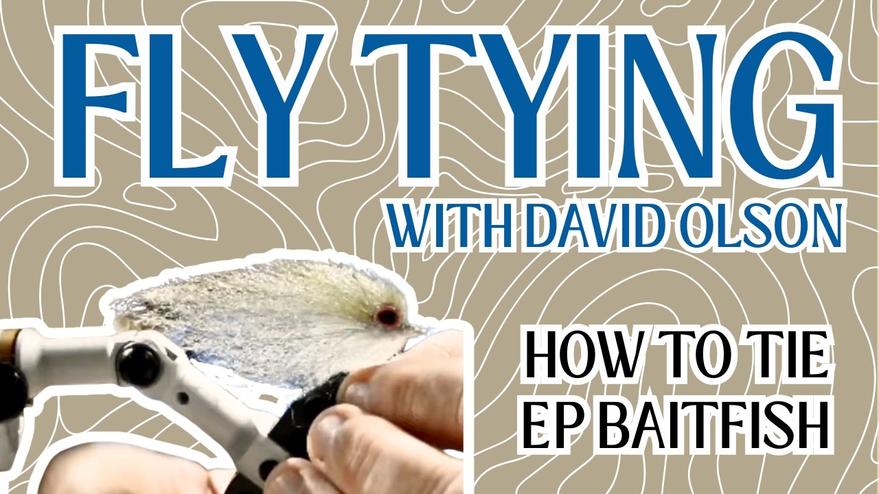 EP BAITFISH: FLY TYING WITH DAVID OLSON
