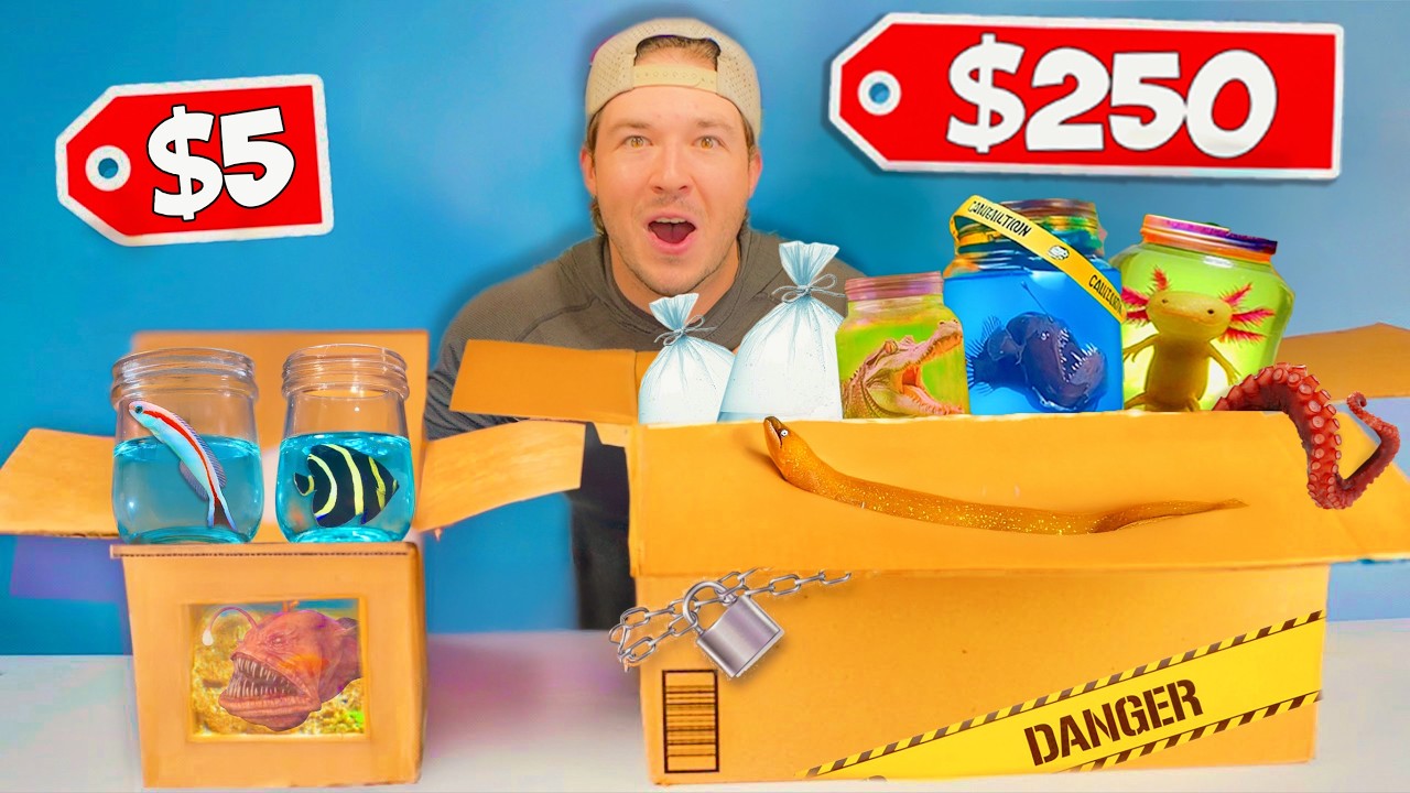 Buying $5 vs $250 Live Sea Creature Mystery Boxes