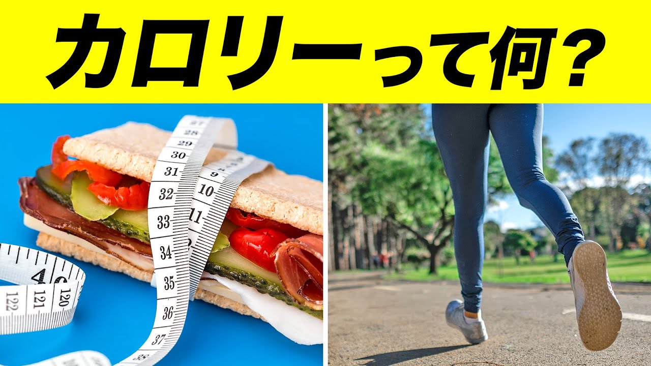 【カロリーとは】カロリーと体脂肪の関係について【ビーレジェンド プロテイン】