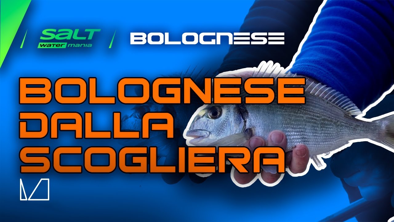 BOLOGNESE DALLA SCOGLIERA