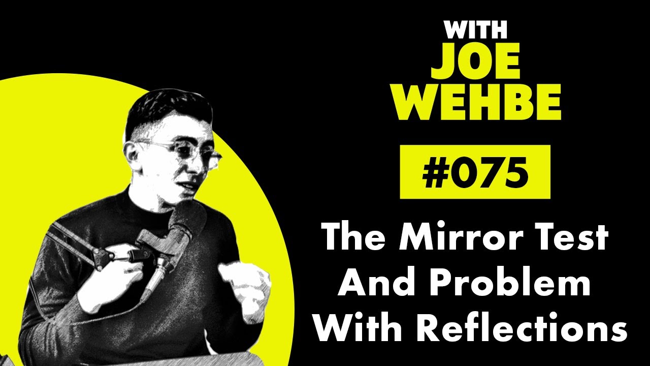 #075: The Mirror Test And Problem With Reflections