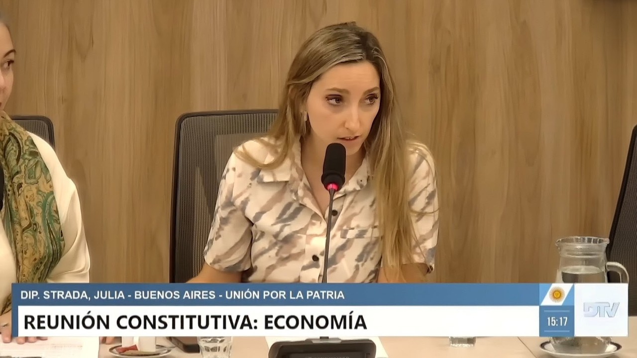 COMISIÓN COMPLETA: ECONOMÍA - 17 de marzo de 2026 - CONSTITUTIVA - Diputados Argentina