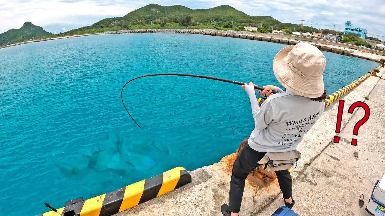 釣り初心者の妻が過去一の大物に遭遇したら…