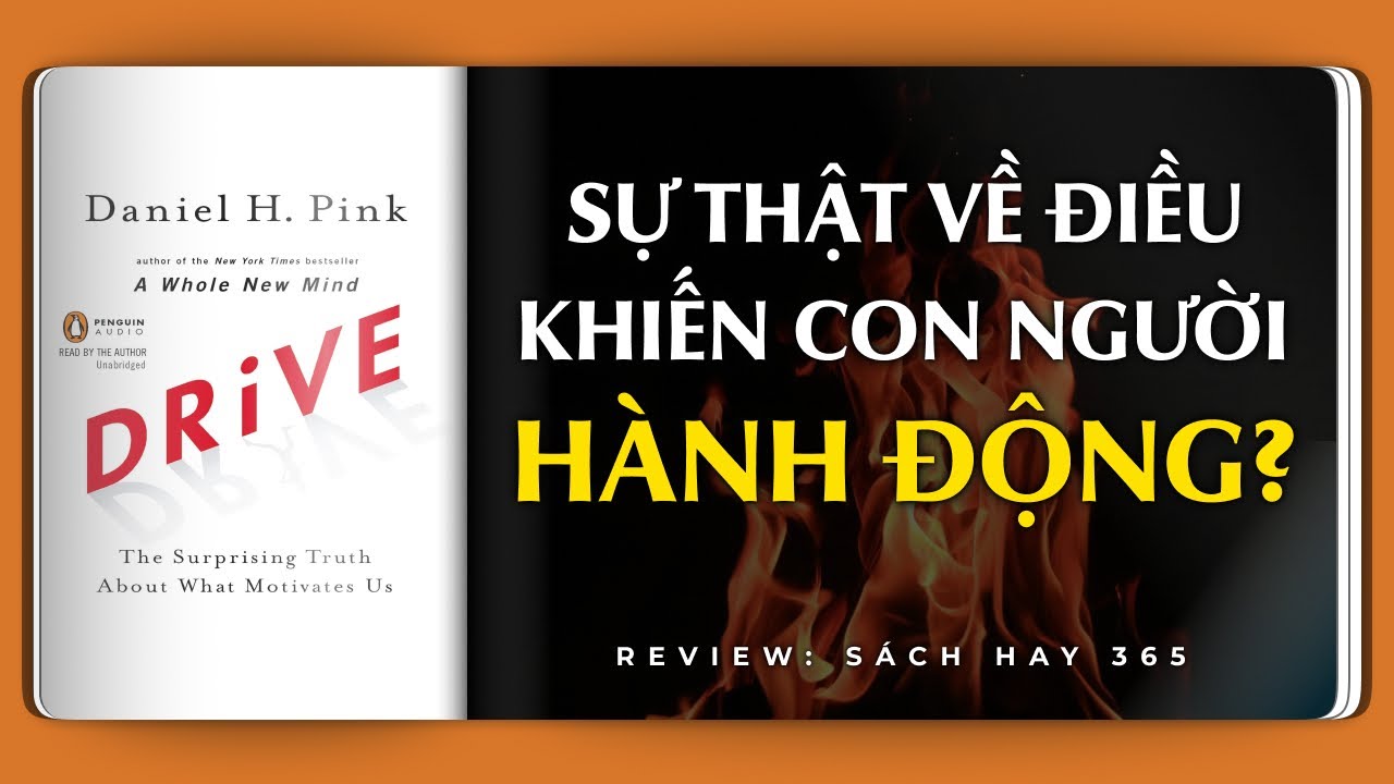 ĐỘNG LỰC NỘI TẠI - Sự thật ít ai ngờ về điều thực sự thúc đẩy con người | Review Sách