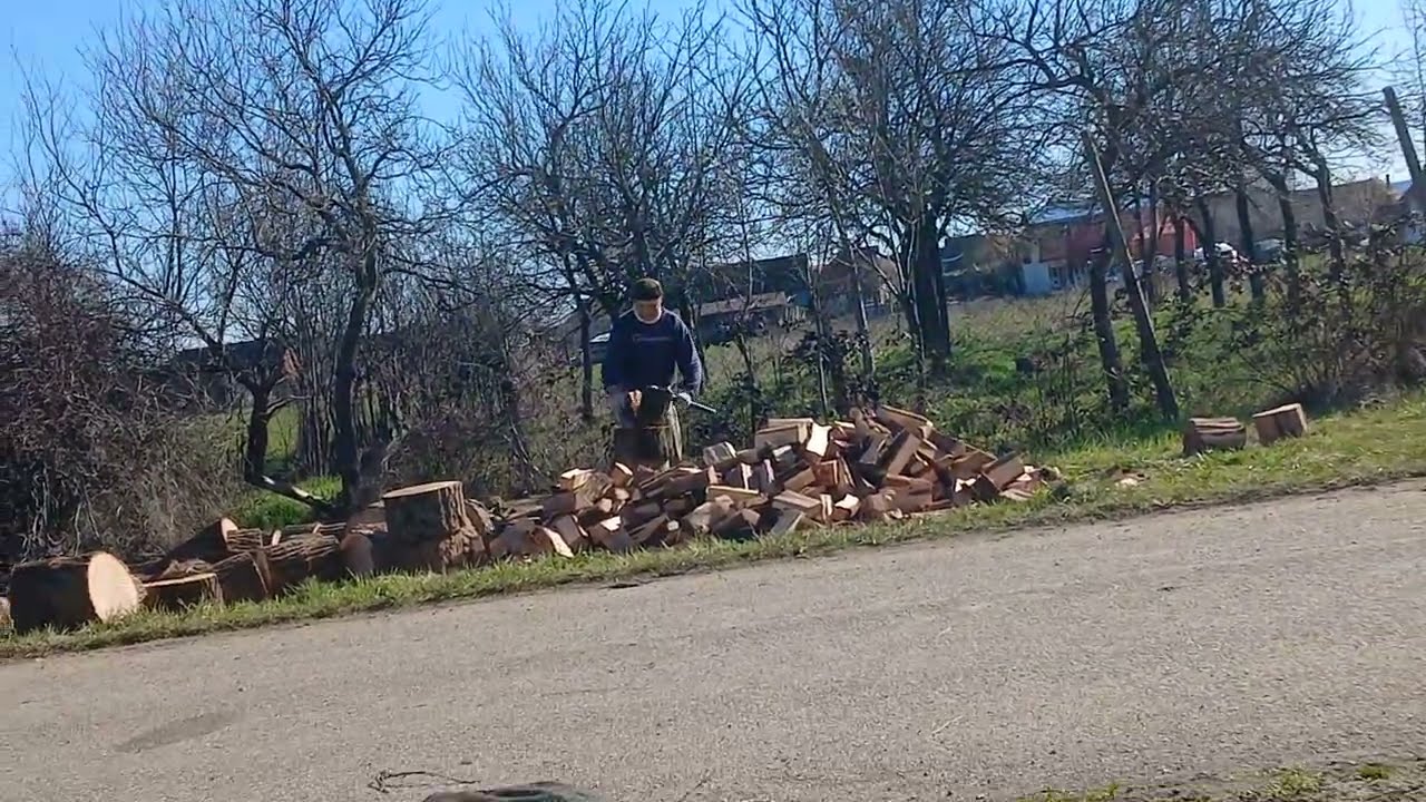 DOAMNE AJUTA DOMNUL AVRAMESCU IN ACTIUNE.☕️🥪👍.