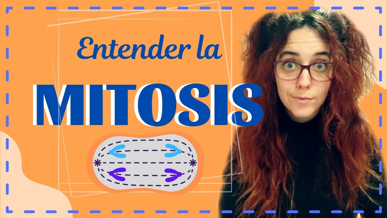LA MITOSIS - Todo lo que tienes que saber