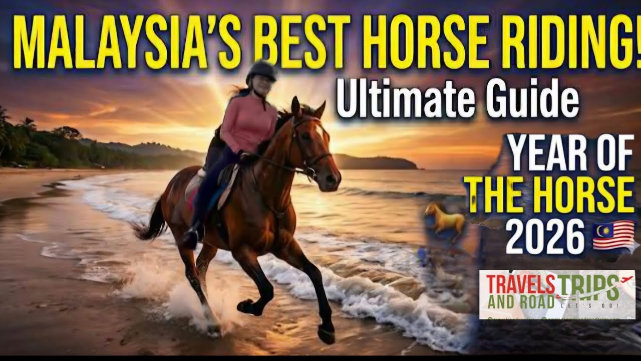 Malaysia's Best Horse Riding Adventures from Johor to Terengganu for Every Skill