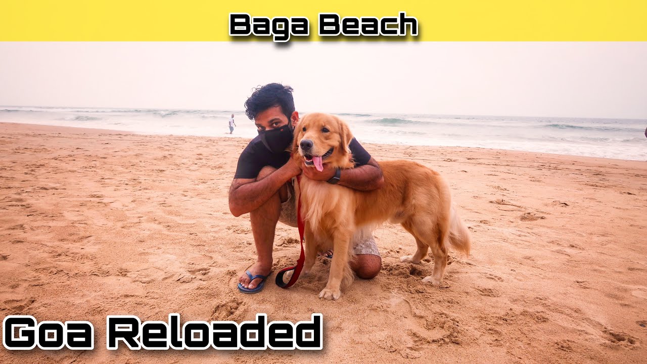 OMG Best Beach - Goa after Lockdown 2020