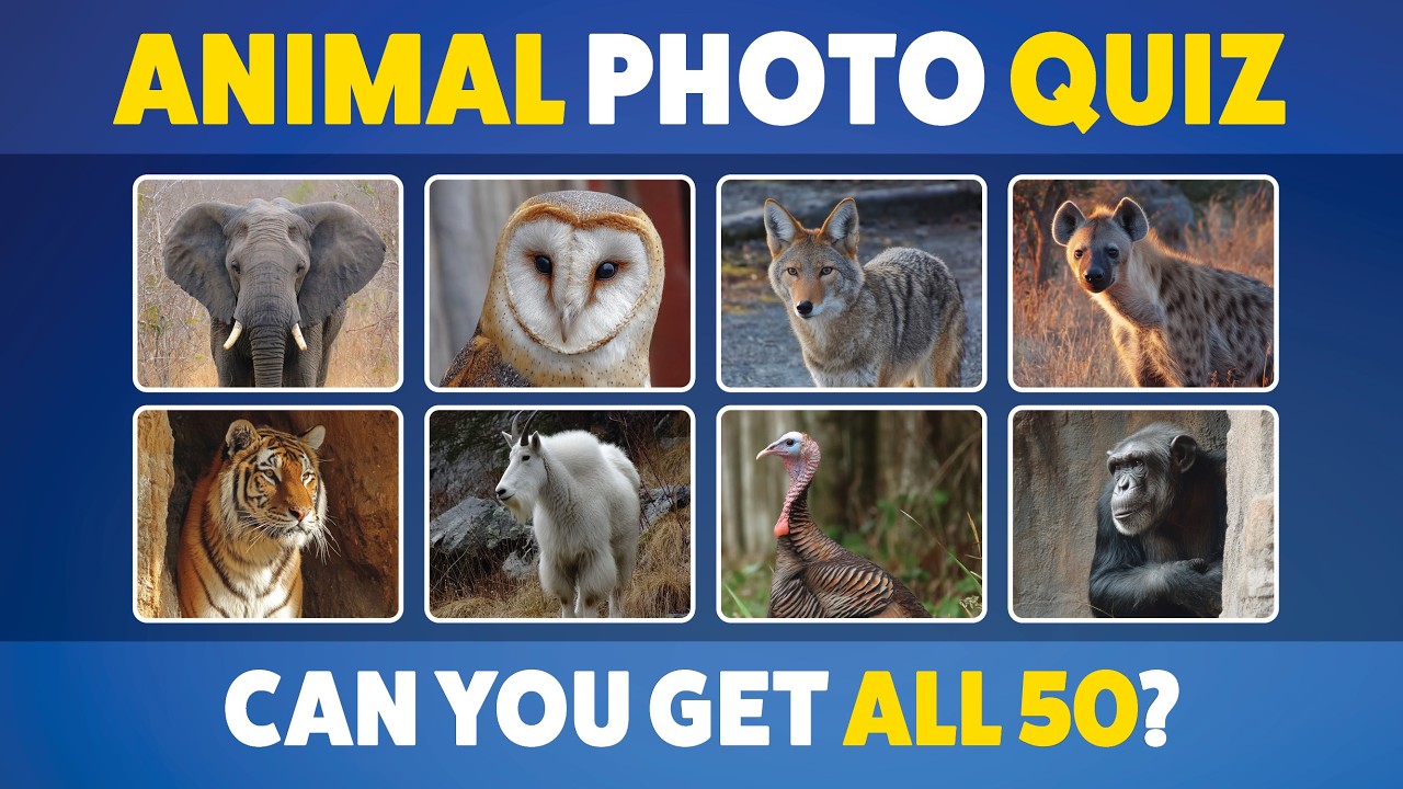 Can you guess these ANIMALS by the photo? Take this quiz to find out!