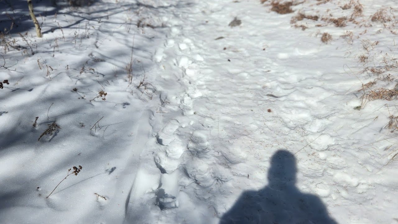 Sandia Peak Tram, Petroglyph Monument New Mexico 