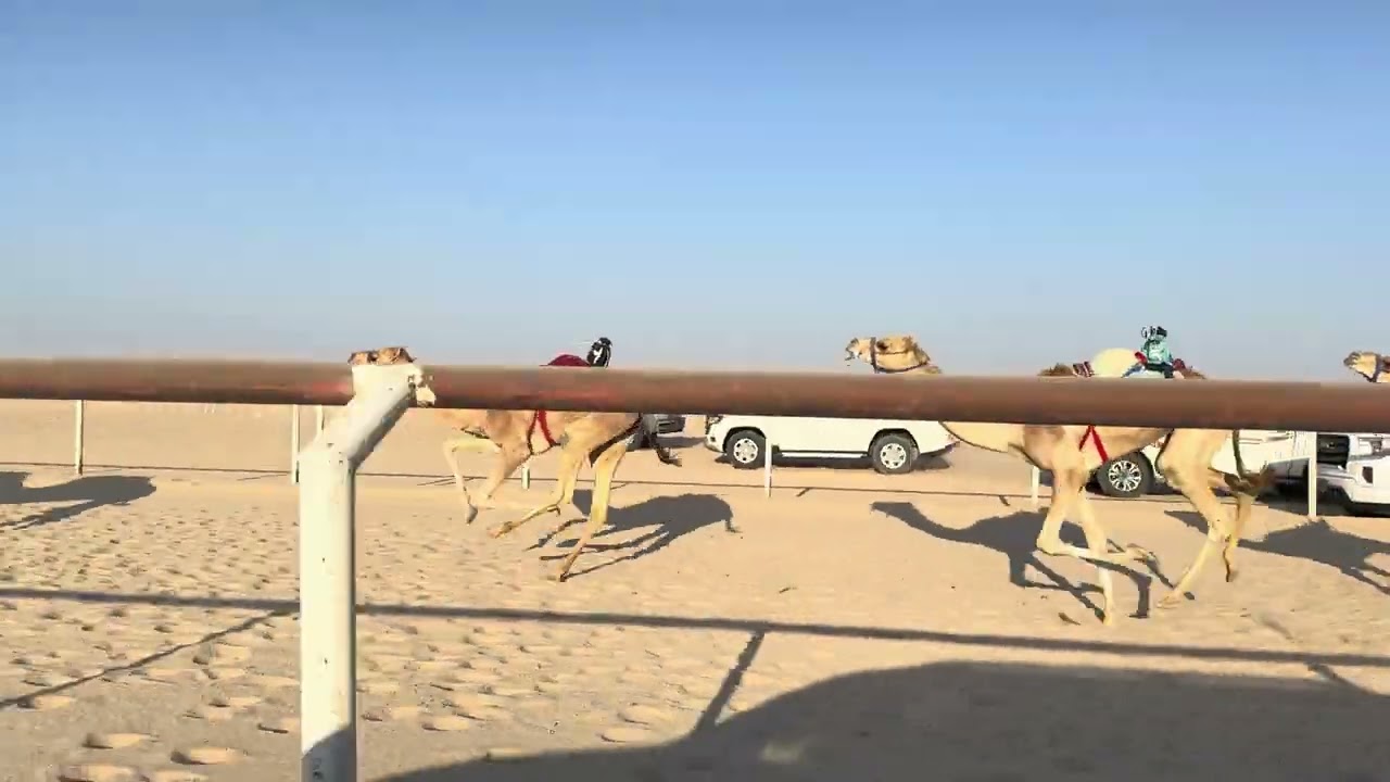 الشوط العاشر 