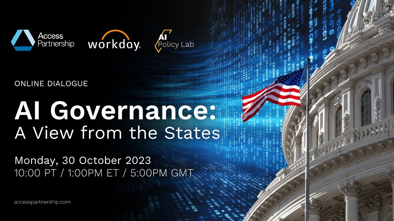 AI Governance: A View from the United States