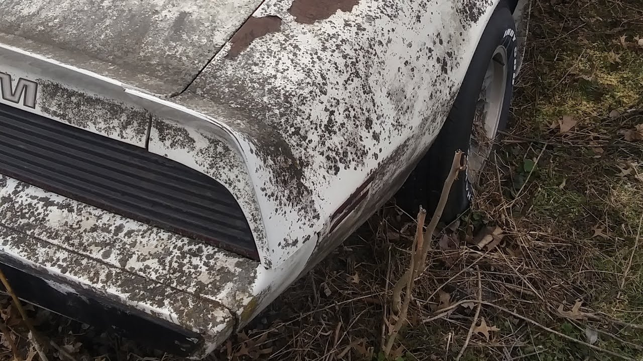 Racing...Riding...and soon to be Rolling. (79 Trans Am)