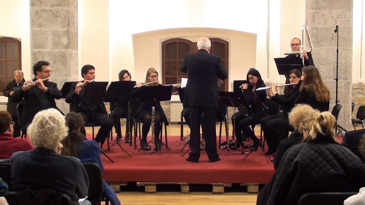 TRIESTE FLUTE ENSEMBLE - J. Strauss: Annen Polka