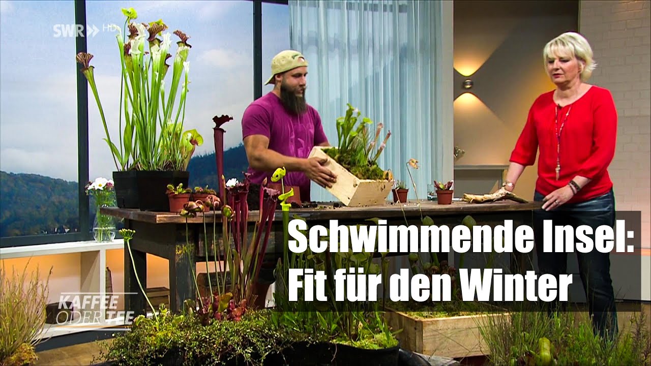 #59 Schwimmende Insel Update im Herbst & Anleitung zum nachbauen aus der SWR Sendung Kaffee oder Tee