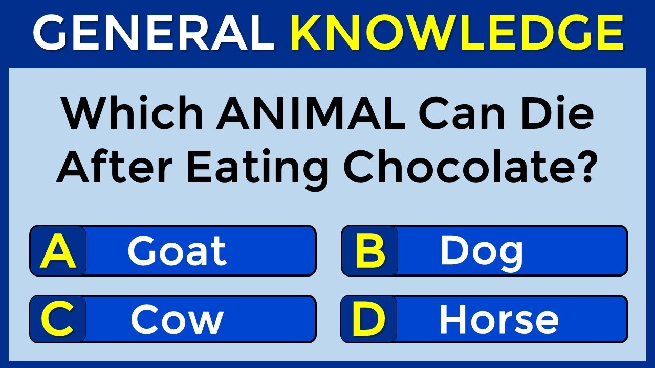How Good Is Your General Knowledge? Take This 30-question Quiz To Find Out! 