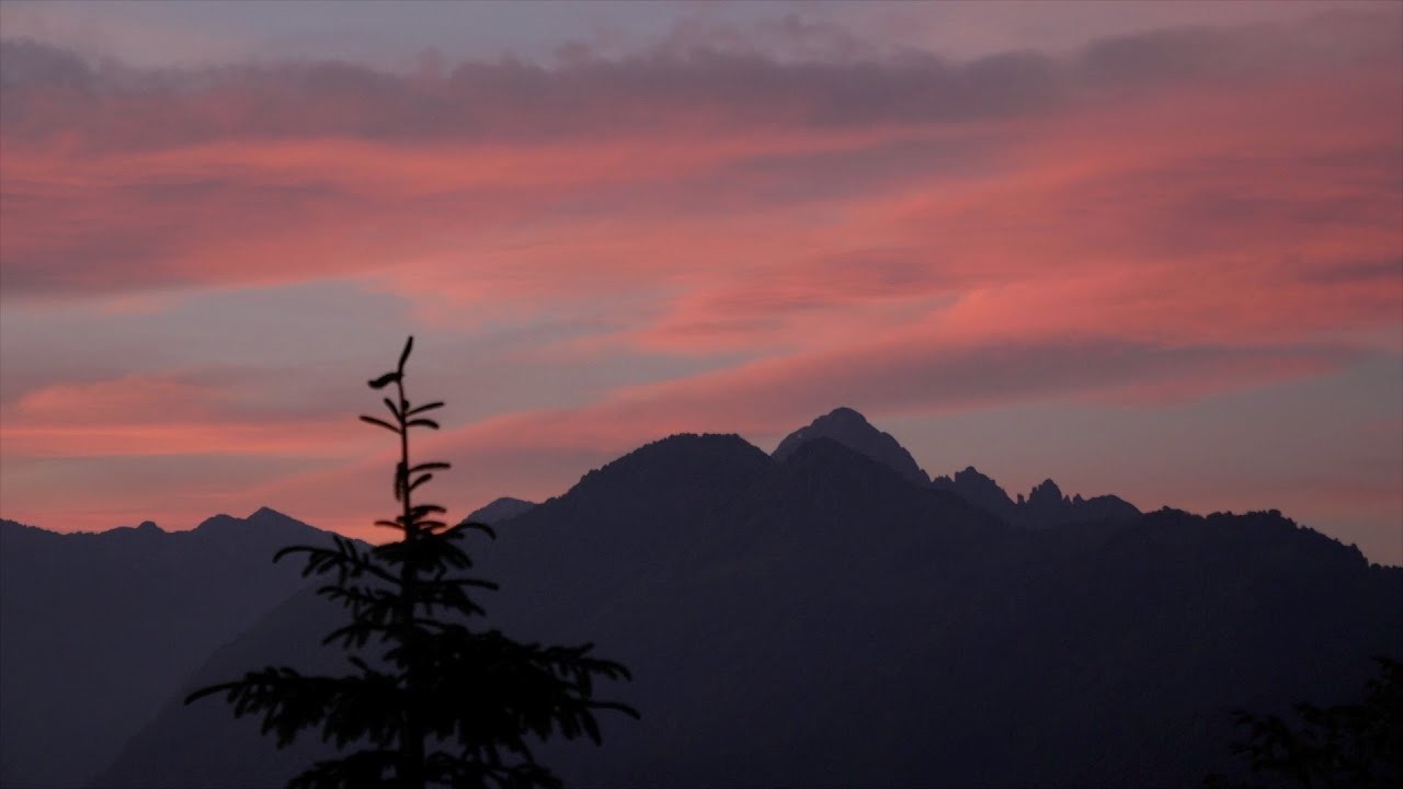 PRIMAVERA SULL'ALTOPIANO SELVINO AVIATICO - MONTE SUCHELLO (sentiero 519)