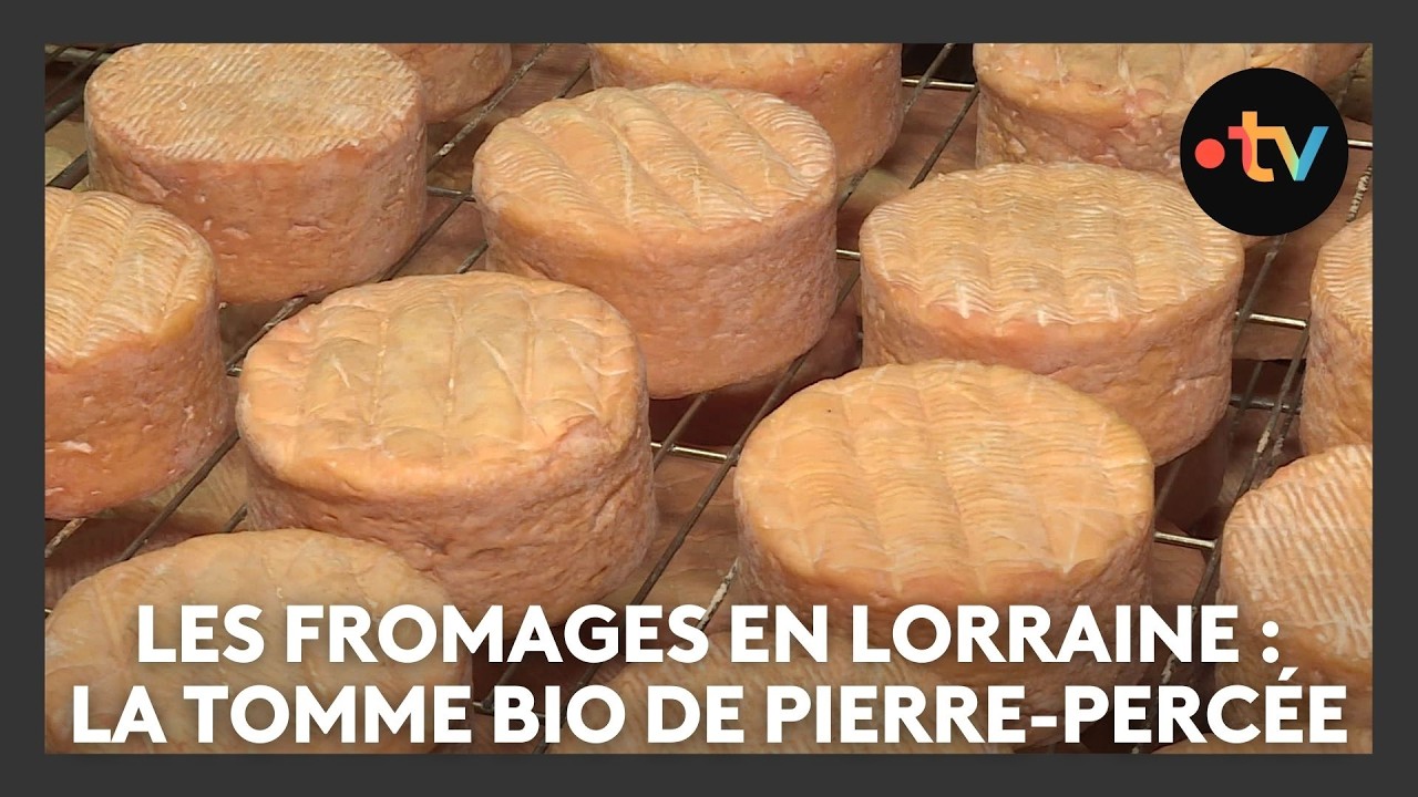 Les fromages en Lorraine : la tomme bio de Pierre-Percée