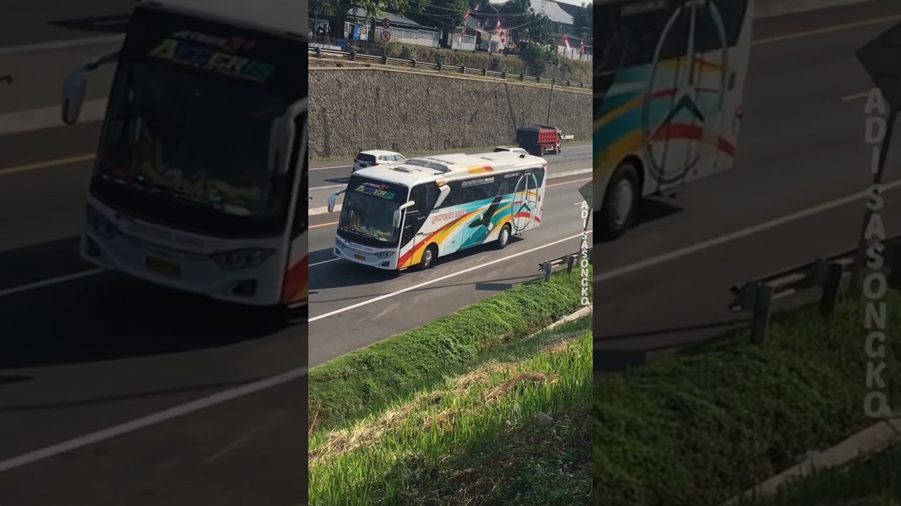 Garuda Mas single glass ganteng‼️ #garudamas #jetbus #adiputro #busakap #shorts