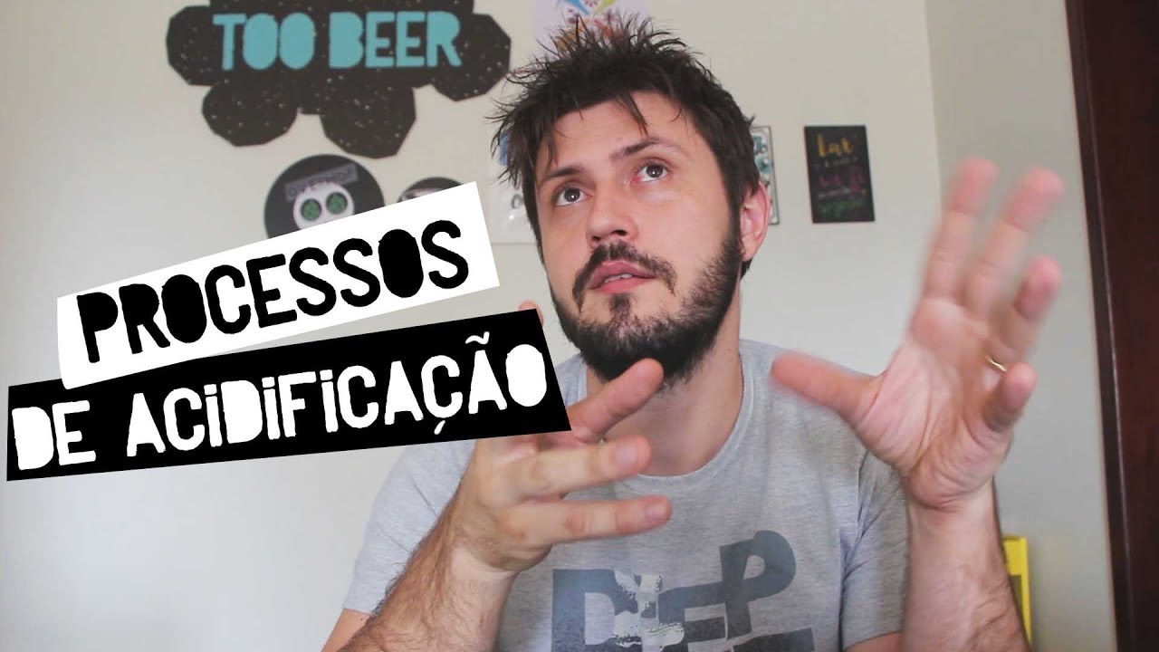 Processos de fabrica&ccedil;&atilde;o de cervejas SOUR - Acidifica&ccedil;&atilde;o- SOUR #2