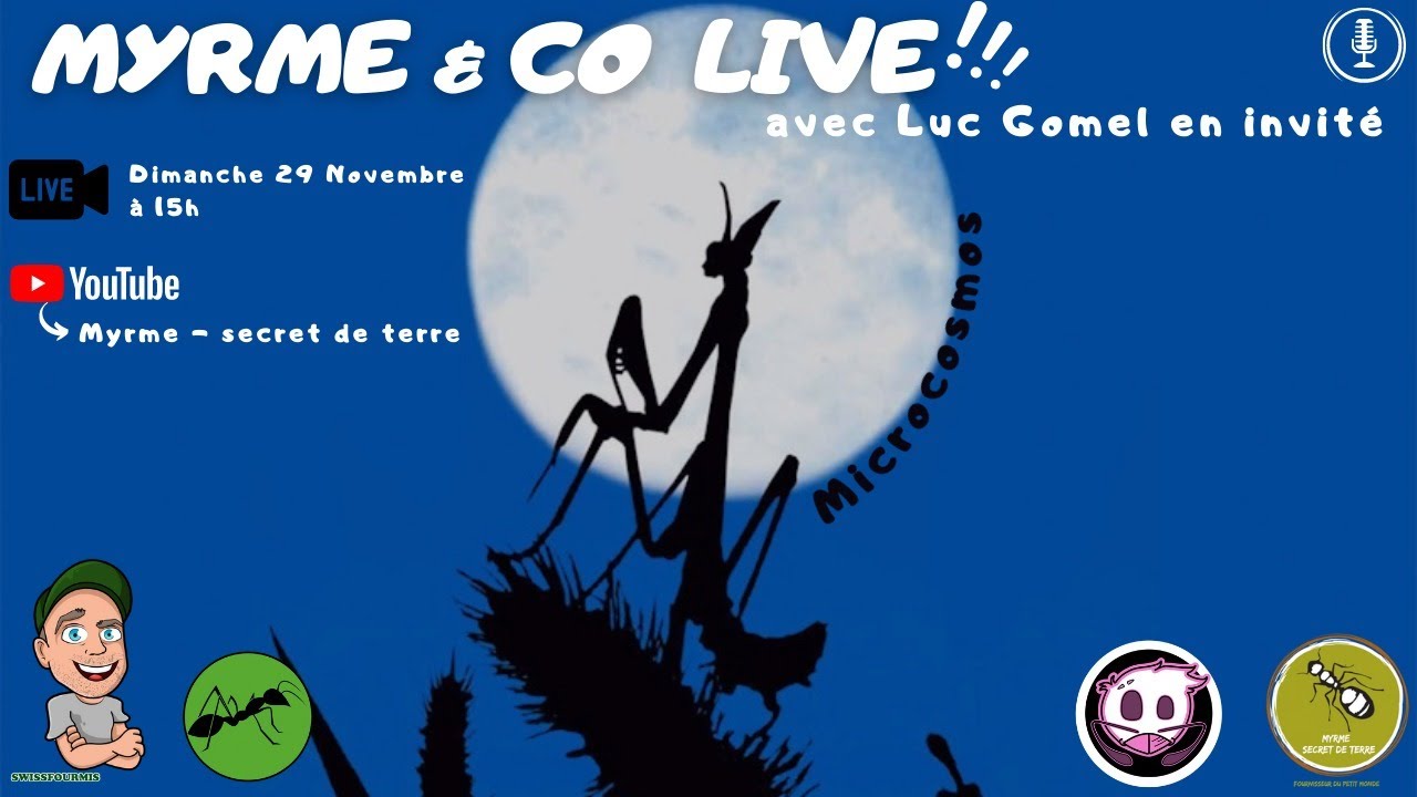 Myrme & Co LIVE - Microcosmos (avec Luc Gomel)