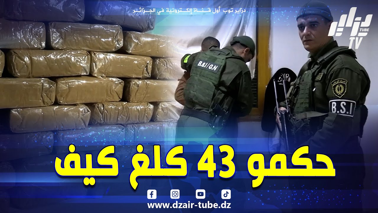 شاهد  🚨🔥 ضربة موجعة لتجار الزطلة    الدرك الوطني بمغنية   حجز أزيد من 43 كلغ من الكيف المعالج 🚔🛑