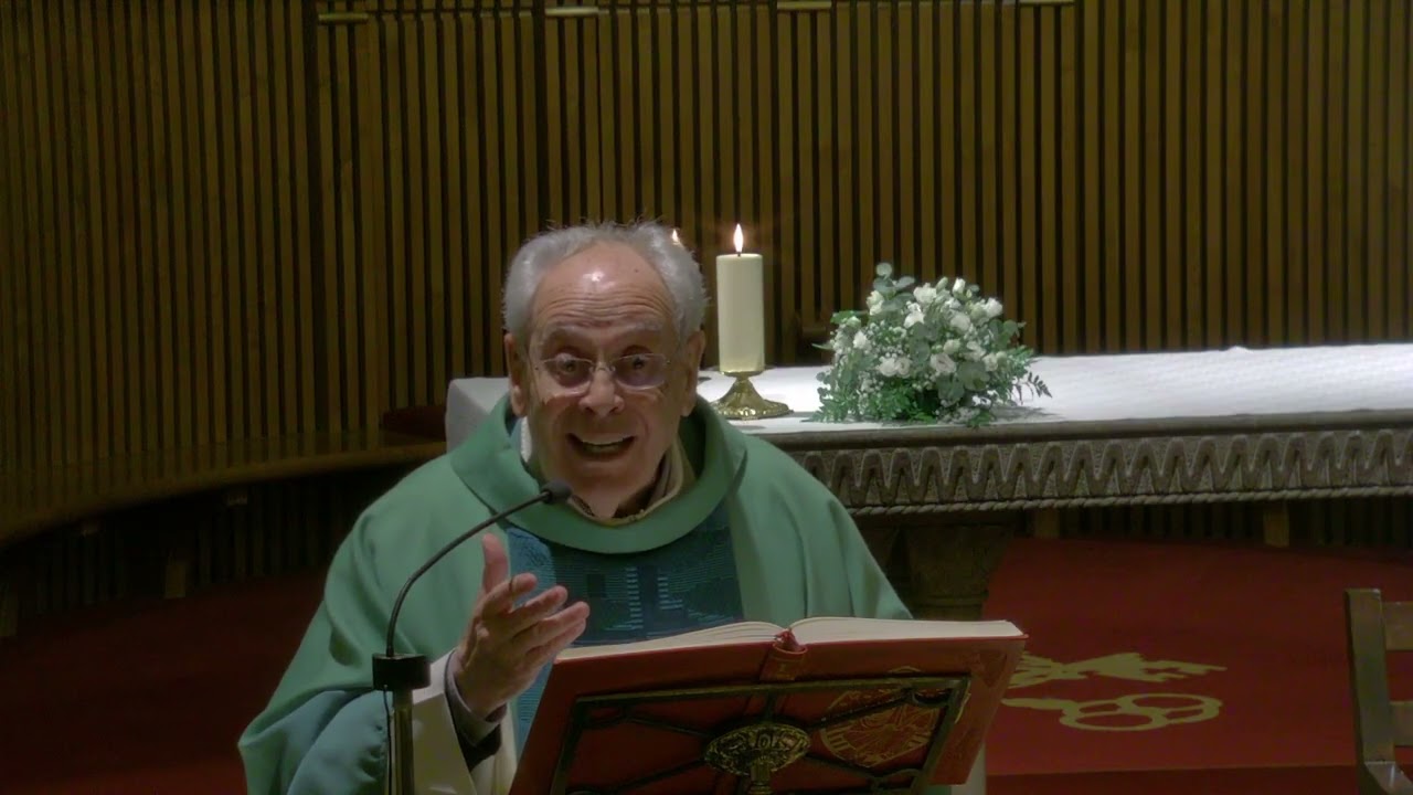Homilía D. Javier (VI Domingo del T. O.)