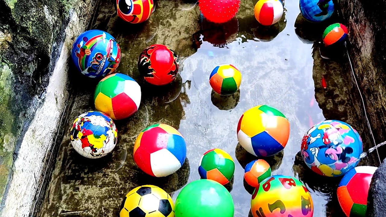 WAW banyak bola di kolam ikan koi bola pelangi bola hulk bola panda bola gembira bola peta bola duri