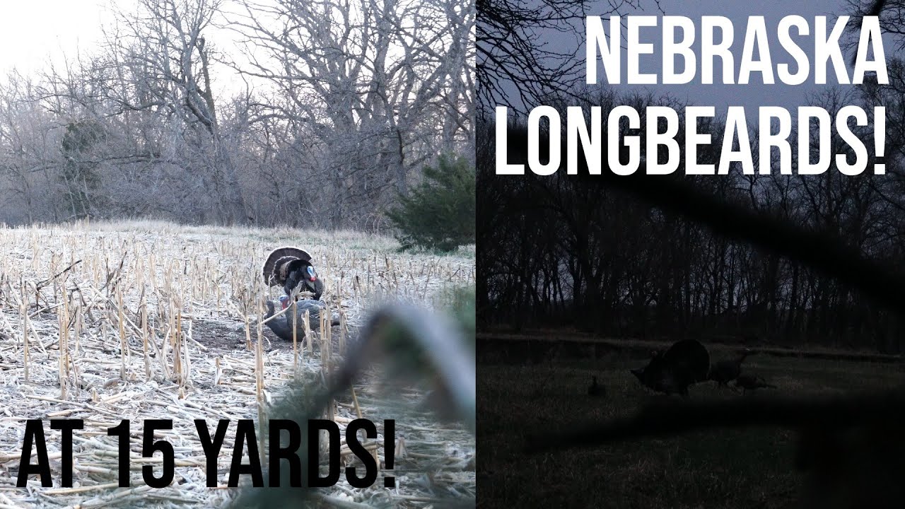 CLOSING THE DISTANCE ON NEBRASKA LONGBEARDS! (2 HUNTS!) NEBRASKA ARCHERY TURKEY HUNTING!