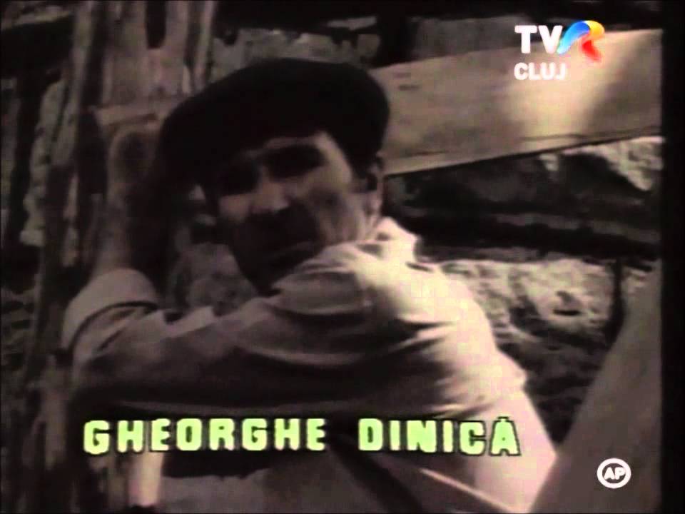 Lumini si umbre