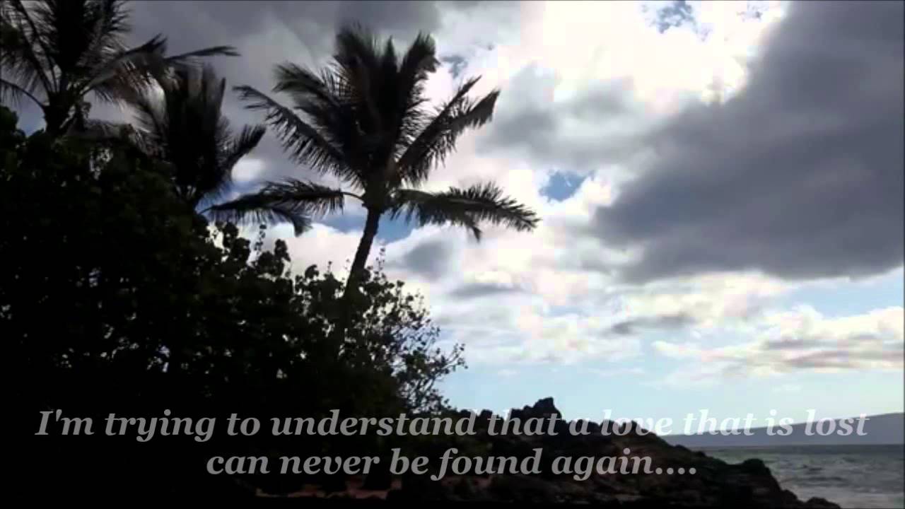 The Bee Gees - 
