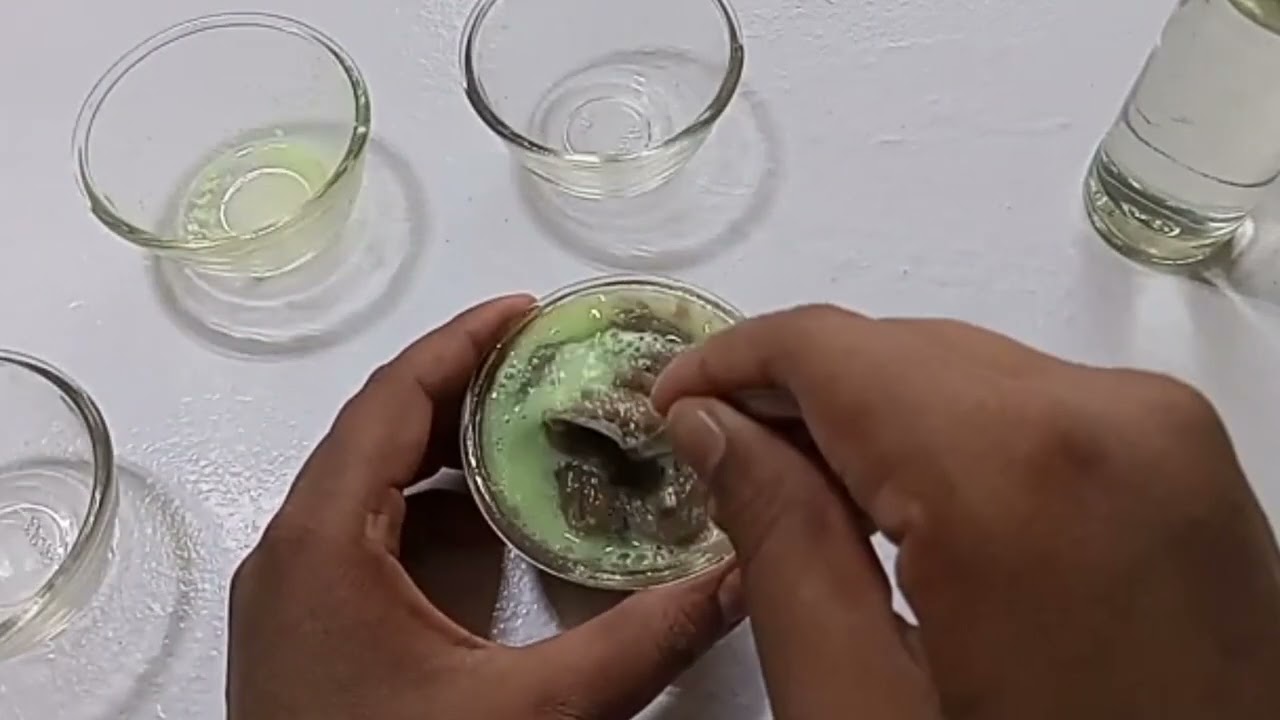 Detergent Powder Mein CBSX Aur Castic Soda Milane Ka Sahi Tarika