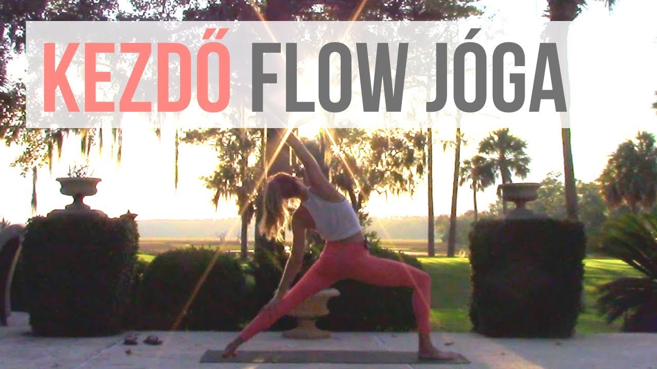 Kezdő vinyásza flow jóga alap pózokkal | 50 perc