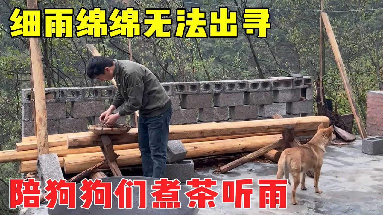大山里细雨绵绵，煮茶听雨陪小动物玩耍，自由又惬意【乡野志刚】