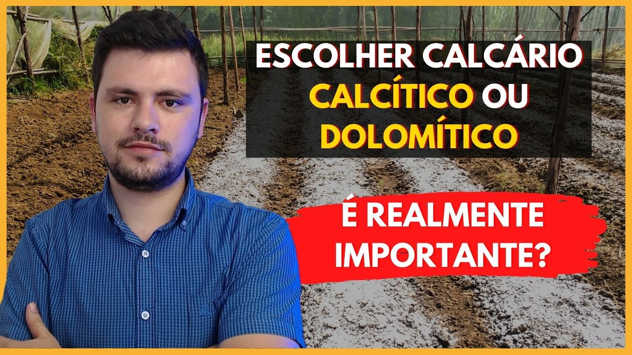 Calcário Calcítico X Dolimítico é realmente importante essa escolha?