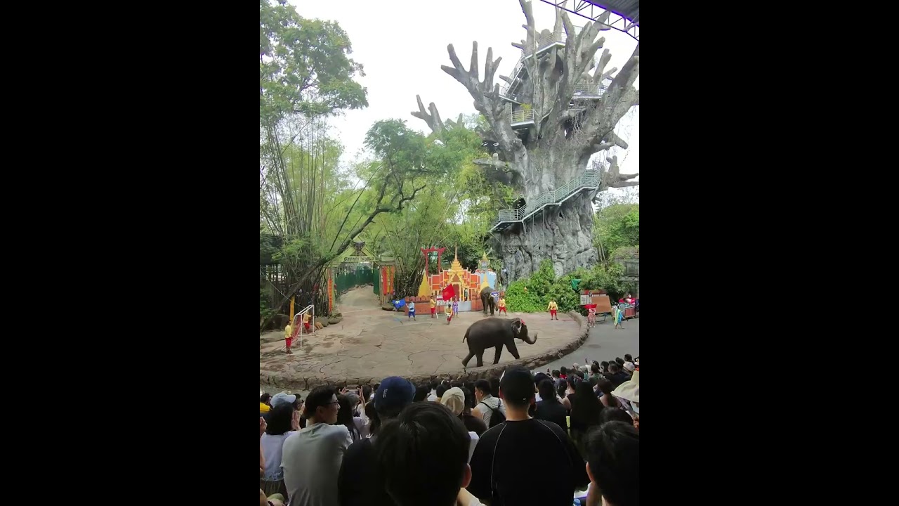 Football match finished!