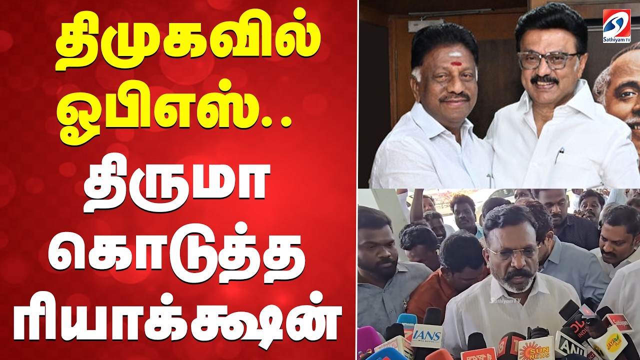 DMK | OPS | திமுகவில் ஓபிஎஸ்.. திருமா கொடுத்த ரியாக்க்ஷன்