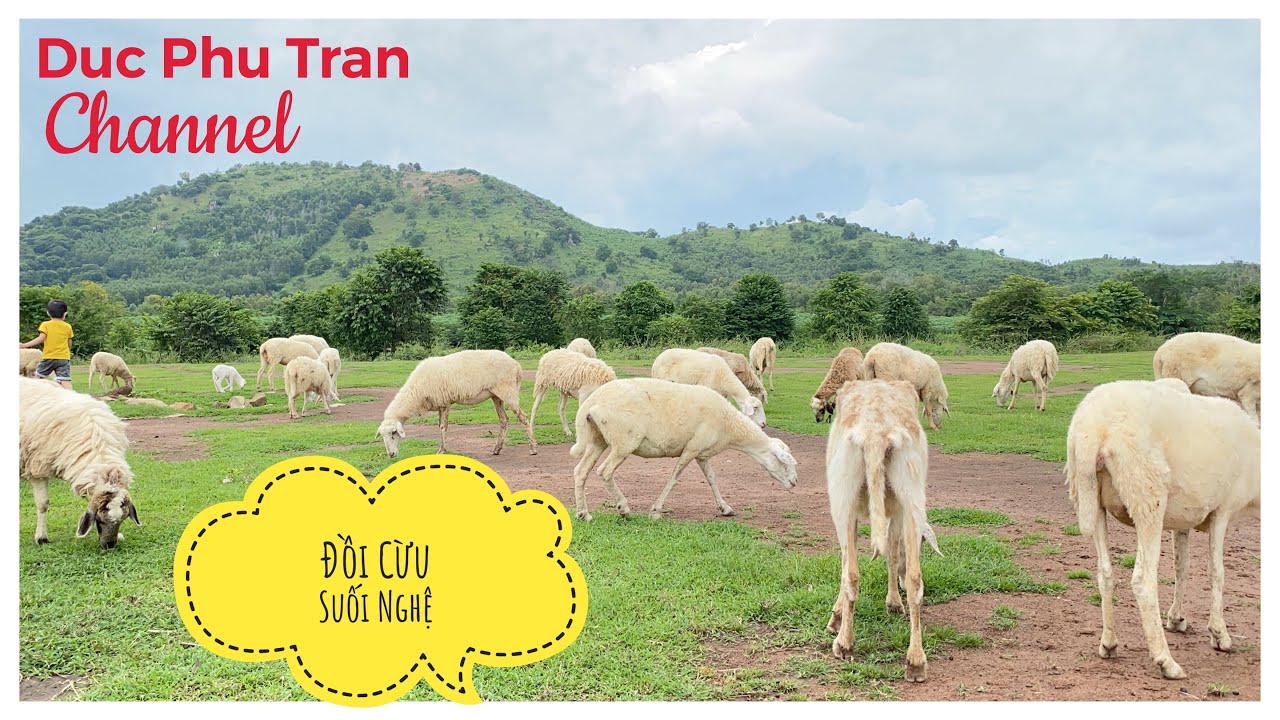 Thuyết minh : Đồi Cừu Suối Nghệ - Châu Đức - Bà Rịa Vũng Tàu