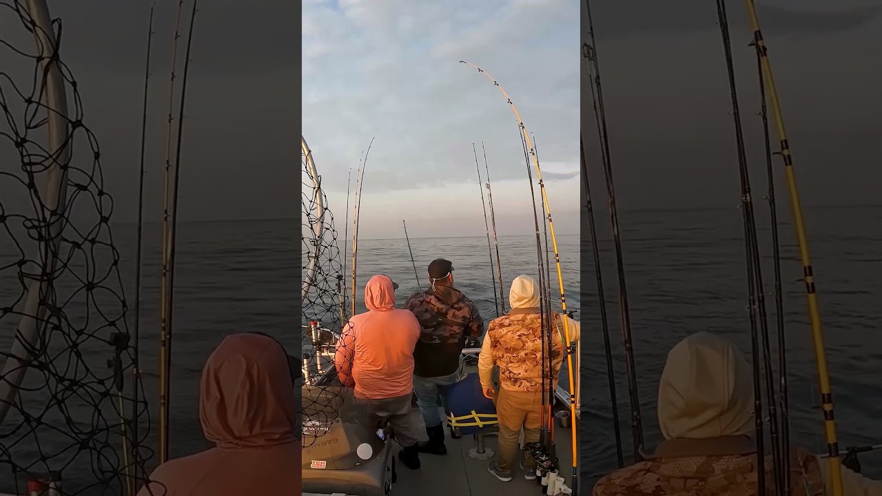 First King of 2025! Dreamweaver Glow Paddle Does Work