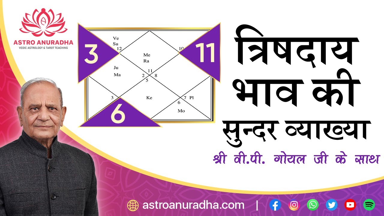 त्रिषदाय भाव की सुन्दर व्याख्या | Trisadaya Bhav in Hindi | basics of astrology |