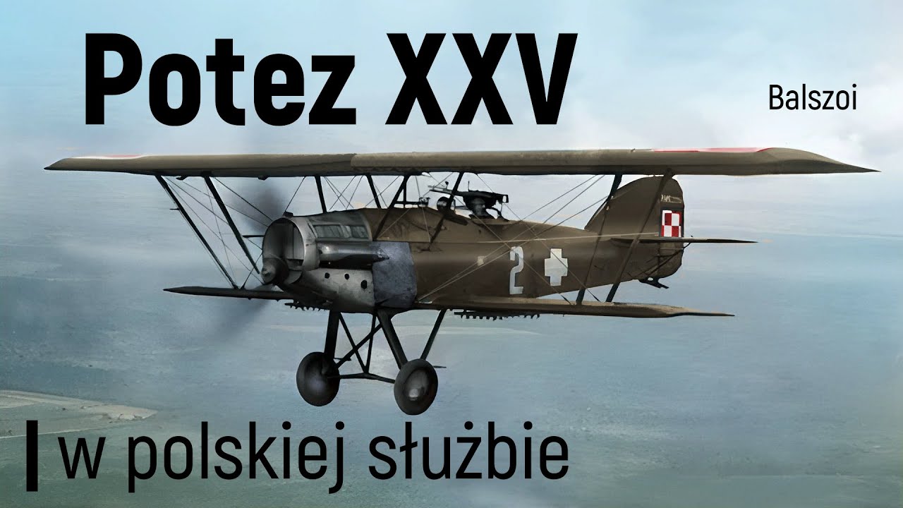 Potez XXV | w polskiej służbie