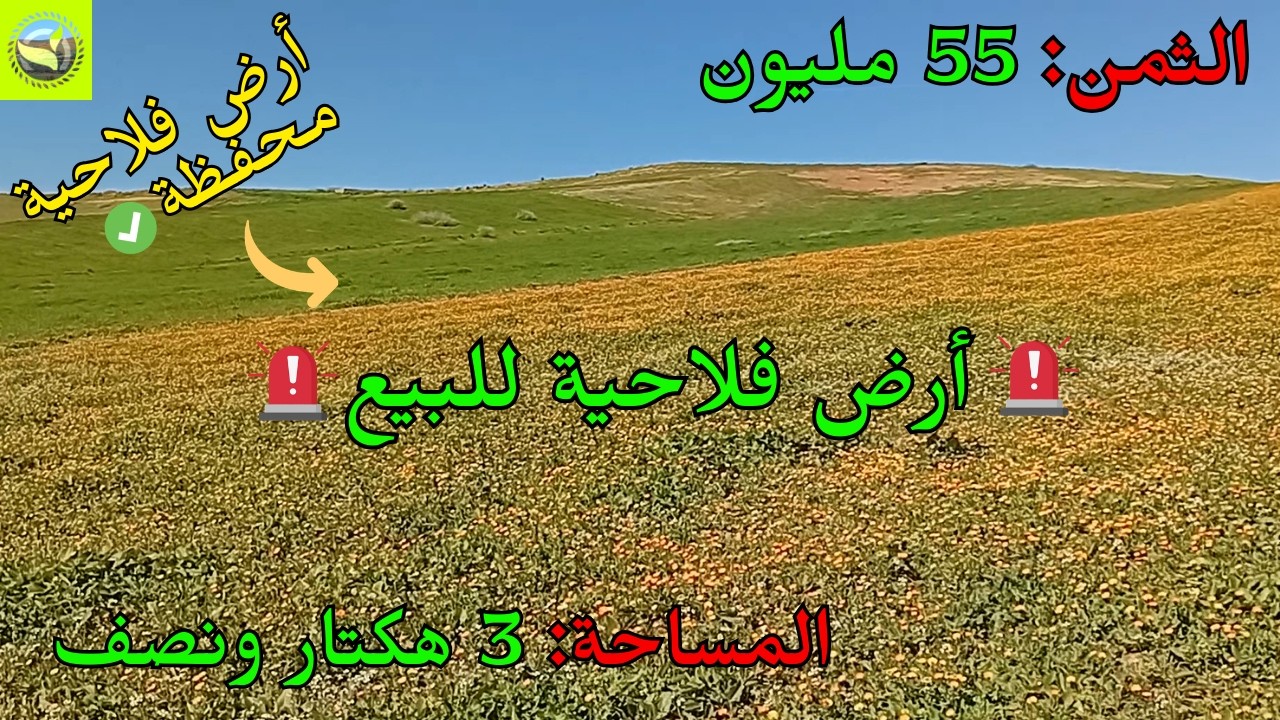 للبيع أرض فلاحية بقبليين قرب الخميسات مساحة 3 هكتار ونصف صالحة للسكن والمشاريع الفلاحية 🌳