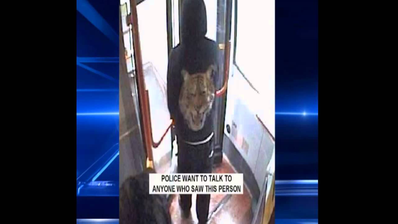 Christina Edkins, CCTV bus stabbing UK