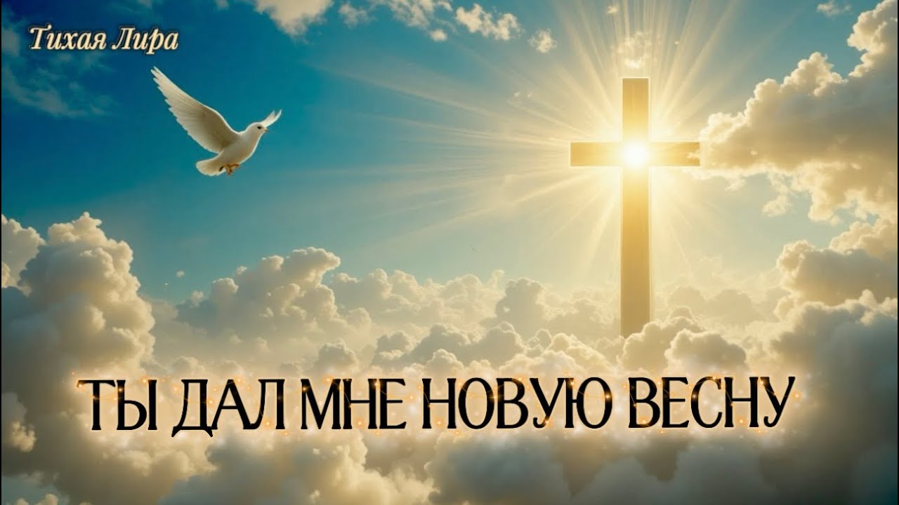 Ты дал мне новую весну | Позитивная христианская песня | Тихая Лира 