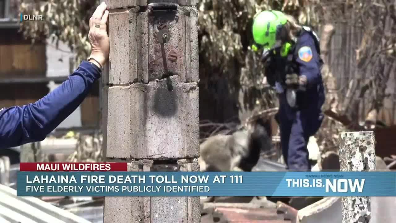 Recovery teams have searched just 40% of fire-ravaged Lahaina as death toll stands at 111