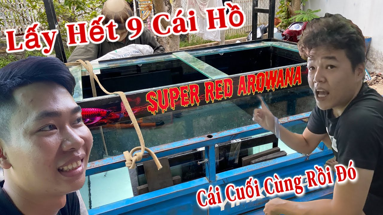 Quyết Định Lụm Thêm Cái Hồ Cá Cuối Cùng Của Anh Này