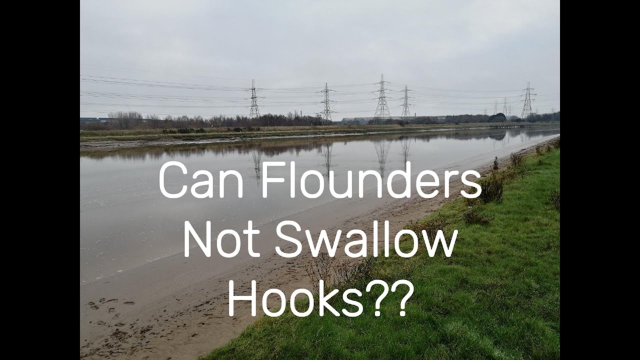 UK Sea Fishing - Flounder Fishing River Dee
