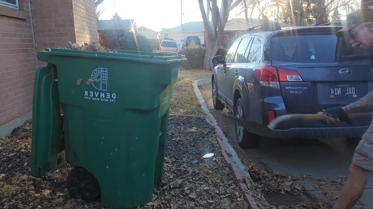 Small leaf pick up my house