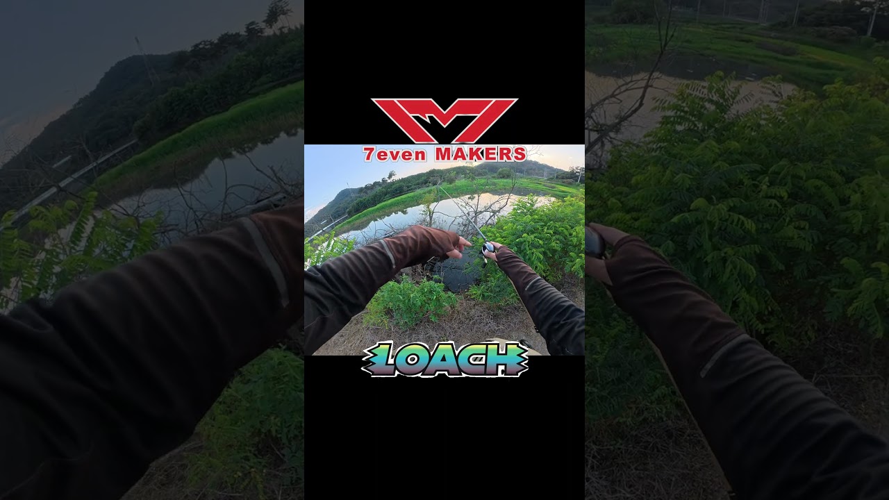 #shorts #프리리그 #신상웜 #세븐메이커스 #로치4.5 #가신지 #짜치 #커버낚시 #bassfishing #짬낚 #배스낚시 #fishing #낚시
